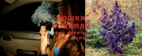 мдпв Володарск