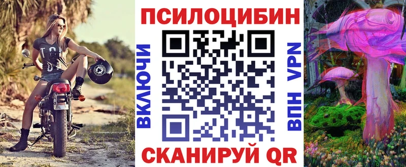 Галлюциногенные грибы Psilocybine cubensis  купить   Карачев 