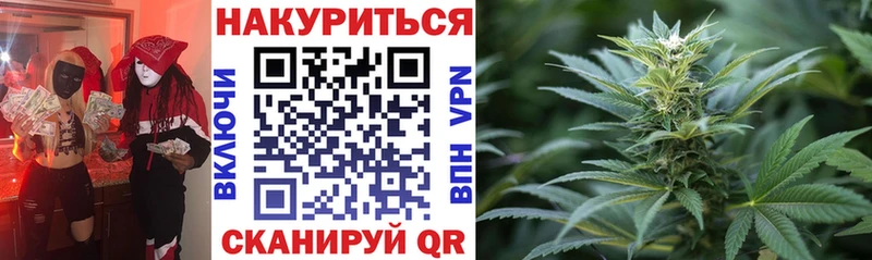 Шишки марихуана тримм  наркотики  Карачев 